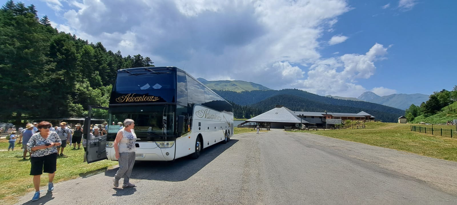 Bus